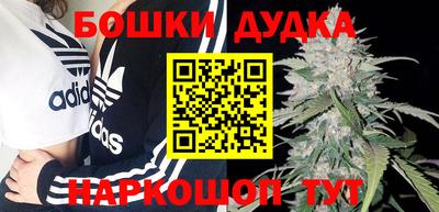 прущие грибы Дубна