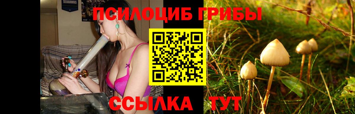 Михайловск  Галлюциногенные грибы Cubensis  Вход с VPN  Галлюциногенные грибы Magic Shrooms 